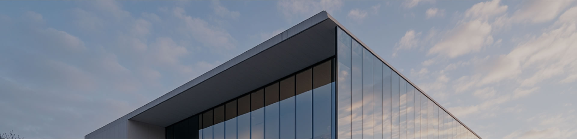 （中国）科技公司